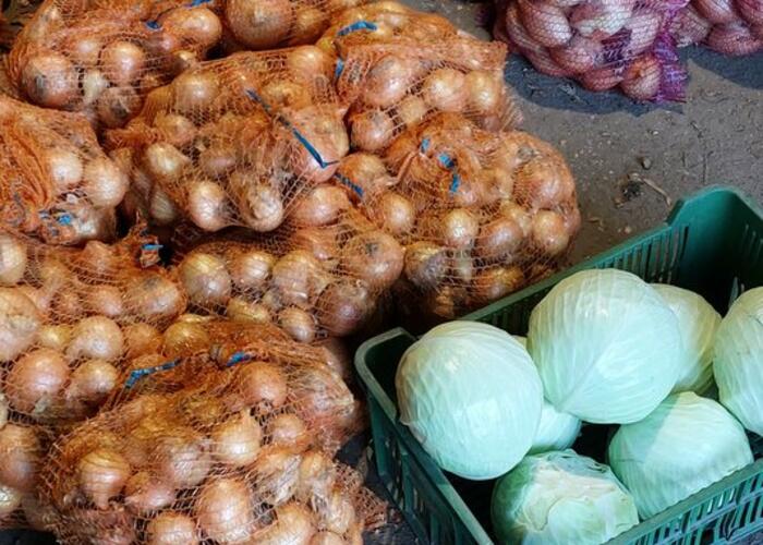 Grajewo ogłoszenia: Sprzedam: 
- cebulę 10 zł /10 kg  
- kapustę 80 gr /1kg...
